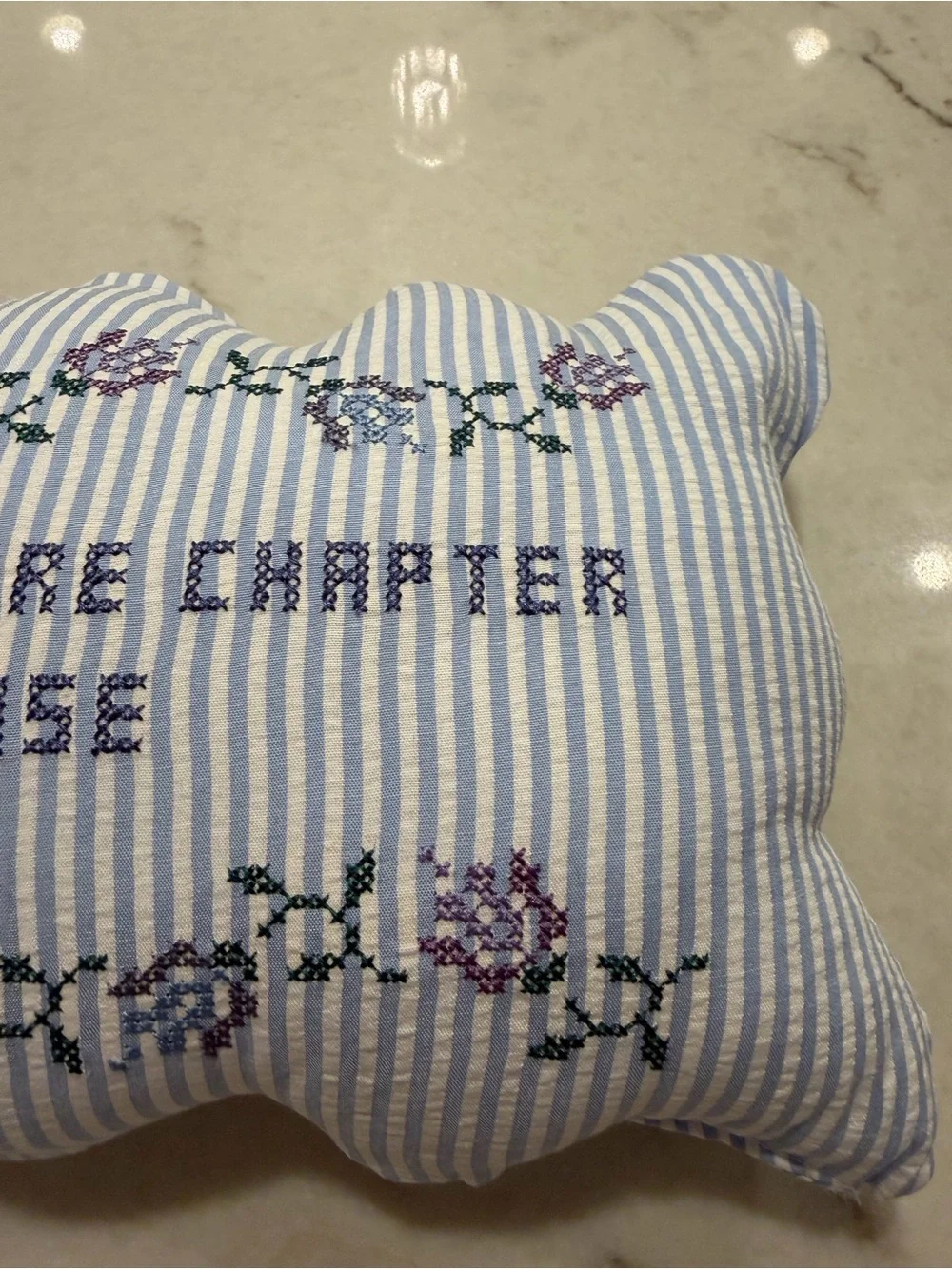 Embroidered 'Just One More Chapter Please' Decorative Pillow - Blue Stripe